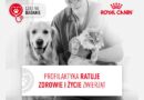 Kupony zniżkowe na badania ogólnoprofilaktyczne pupili w województwie podkarpackim!