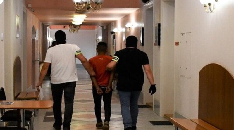 Sanoccy policjanci zatrzymali pięciu Słowaków za kradzież kabli. Szybki wyrok i obowiązek naprawienia szkody