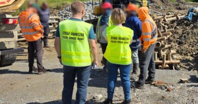 Cudzoziemcy bez dokumentów pracowali na Podkarpaciu – decyzja o deportacji