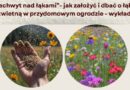 Łąka kwietna krok po kroku – praktyczne szkolenie dla mieszkańców