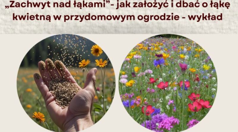 Łąka kwietna krok po kroku – praktyczne szkolenie dla mieszkańców
