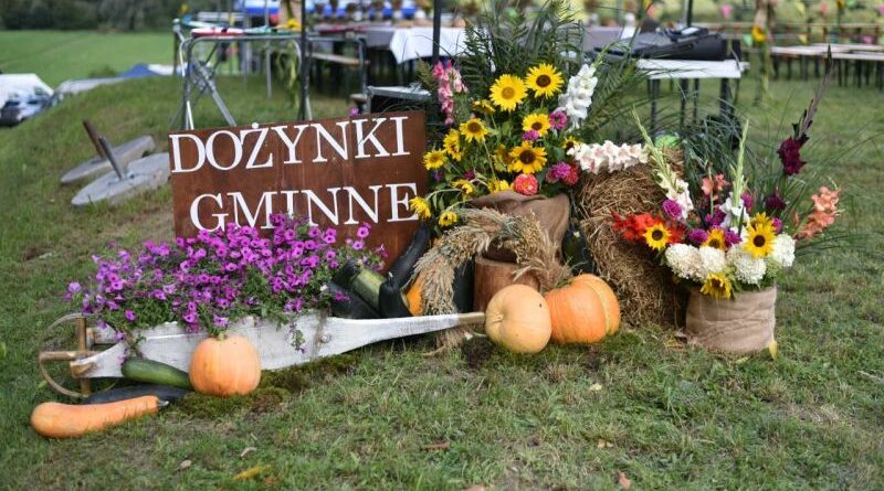 Święto plonu w Niewistce