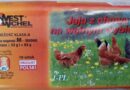 Salmonella wykryta w partii jaj – zagrożenie dla zdrowia konsumentów