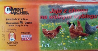 Salmonella wykryta w partii jaj – zagrożenie dla zdrowia konsumentów