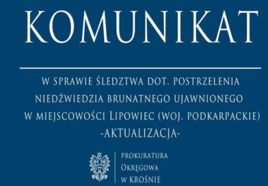 Komunikat w sprawie śledztwa dot. postrzelenia niedźwiedzia brunatnego ujawnionego w miejscowości Lipowiec (woj. podkarpackie)
