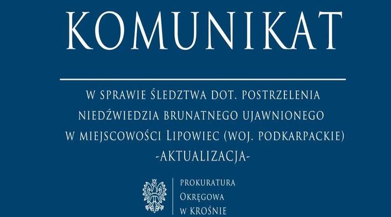 Komunikat w sprawie śledztwa dot. postrzelenia niedźwiedzia brunatnego ujawnionego w miejscowości Lipowiec (woj. podkarpackie)