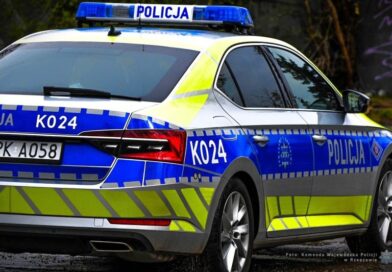 34-letni obywatel Indii zatrzymany z fałszywym dokumentem