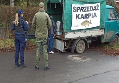Wspólne kontrole policji i Straży Rybackiej: legalność sprzedaży karpi i walka z kłusownictwem przed świętami