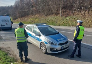 Kontrole „Kabotaż” na DK-19 w Domaradzu – wspólne działania policji i ITD