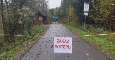 Gruźlica u żubrów w Mucznem – osiem potwierdzonych przypadków
