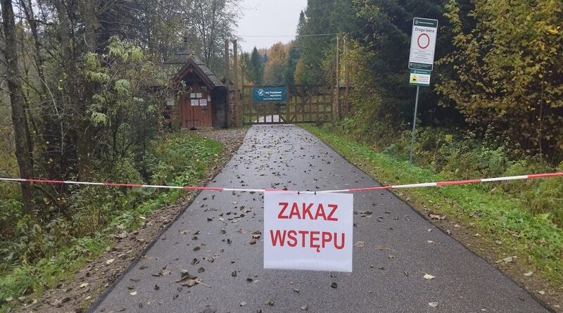 Gruźlica u żubrów w Mucznem – osiem potwierdzonych przypadków