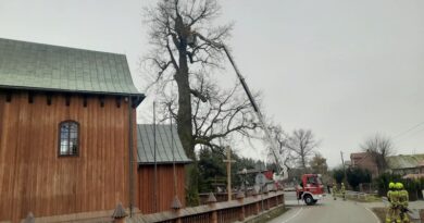 Poranne działania służb w Humniskach. Drzewo stwarzało ryzyko przy kościele