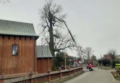 Poranne działania służb w Humniskach. Drzewo stwarzało ryzyko przy kościele