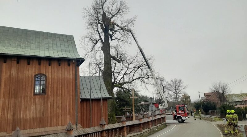 Poranne działania służb w Humniskach. Drzewo stwarzało ryzyko przy kościele