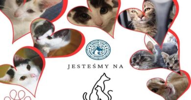 Pomaganie bezdomnym zwierzętom jest dziś jeszcze prostsze. Sanocka Straż Ochrony i Ratownictwa Zwierząt dołączyła do platformy OcaloneŁapki