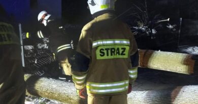 Powalone drzewo zerwało linie energetyczne. Nocna interwencja strażaków we Wzdowie