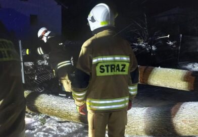 Powalone drzewo zerwało linie energetyczne. Nocna interwencja strażaków we Wzdowie