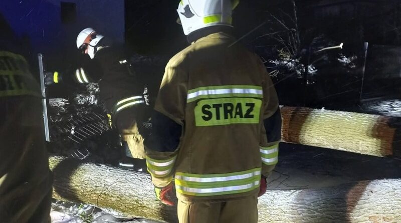 Powalone drzewo zerwało linie energetyczne. Nocna interwencja strażaków we Wzdowie