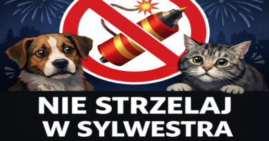 Nie strzelaj w Sylwestra – to naprawdę ma znaczenie