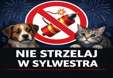Nie strzelaj w Sylwestra – to naprawdę ma znaczenie