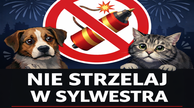 Nie strzelaj w Sylwestra – to naprawdę ma znaczenie