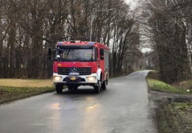 Pies w wodzie. Strażacy ruszyli na pomoc