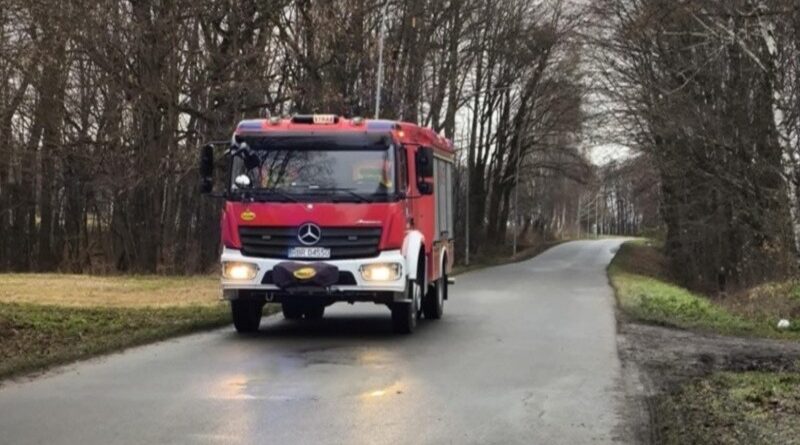 Pies w wodzie. Strażacy ruszyli na pomoc