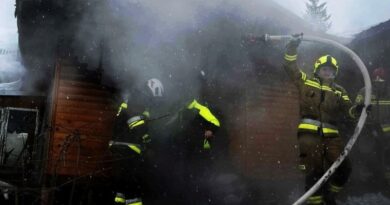 Pożar budynku gospodarczego w Jasienicy Rosielnej. Szybka akcja strażaków