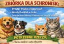 Zbiórka dla schronisk – pomóżmy zwierzętom razem! 