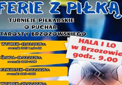 Turnieje piłki nożnej o Puchar Starosty Brzozowskiego – trwają zapisy