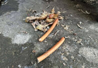 „Kulinarna stołówka” przy Zakładzie Ubezpieczeń Społecznych w Brzozowie – DOŚĆ!