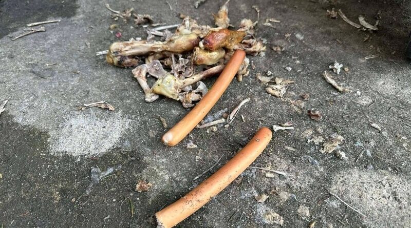 „Kulinarna stołówka” przy Zakładzie Ubezpieczeń Społecznych w Brzozowie – DOŚĆ!