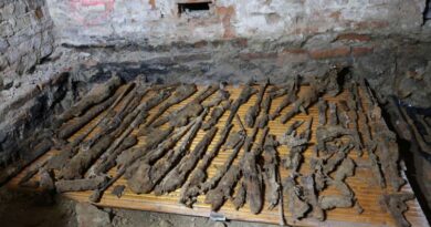 Arsenał z czasów wojen odkryty w piwnicach kamienicy przy ul. Blich w Krośnie