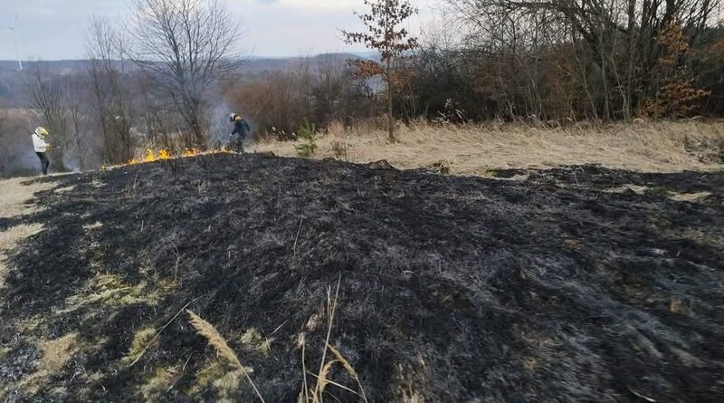 Wesoła. Dwa pożary nieużytków jednego dnia. Szybka akcja OSP i czujność druhów zapobiegły rozprzestrzenieniu ognia