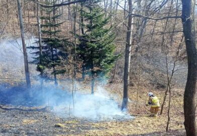 Znów płoną trawy. Interwencja strażaków w Dydni