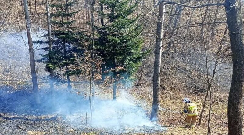 Znów płoną trawy. Interwencja strażaków w Dydni