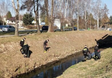 Kolejna akcja sprzątania nad Stobnicą. Druhowie z OSP w Brzozowie działają dla środowiska