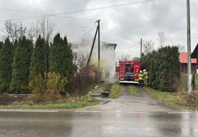 Pożar domu w Trześniowie. Szybka akcja strażaków Pożar domu w Trześniowie. Szybka akcja strażaków