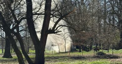 Pożar zabytkowego dębu w parku gminnym w Jasienicy Rosielnej. Interweniowali strażacy