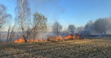 Dwa pożary jednego dnia. Strażacy interweniowali w gminie Dydnia