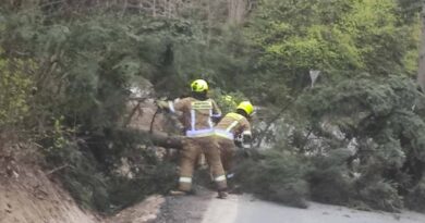 Powalone drzewa blokowały drogi. Strażacy z Izdebek interweniowali dwukrotnie jednego dnia