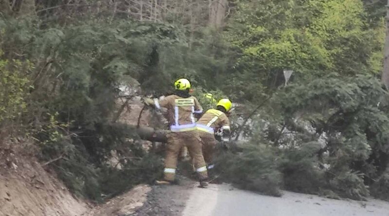 Powalone drzewa blokowały drogi. Strażacy z Izdebek interweniowali dwukrotnie jednego dnia