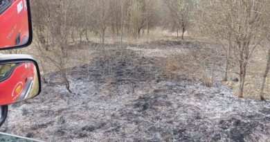 Pożar traw w pobliżu lasu. Szybka interwencja strażaków z Izdebek