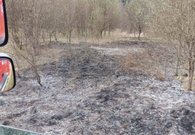 Pożar traw w pobliżu lasu. Szybka interwencja strażaków z Izdebek