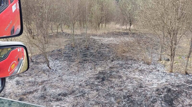 Pożar traw w pobliżu lasu. Szybka interwencja strażaków z Izdebek