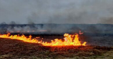 Pożar traw w Bliznem. Spłonęło około 2 hektarów