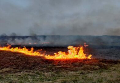 Pożar traw w Bliznem. Spłonęło około 2 hektarów