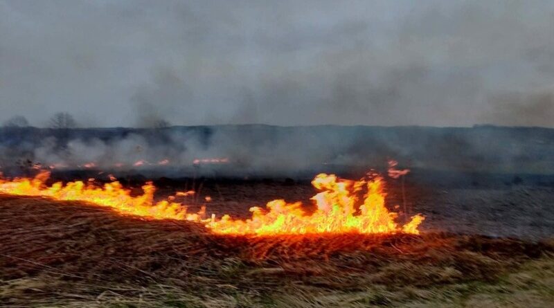 Pożar traw w Bliznem. Spłonęło około 2 hektarów