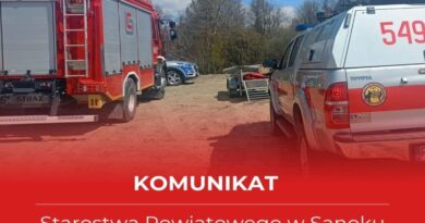 Tragiczny atak niedźwiedzia w gminie Bukowsko. Nie żyje kobieta