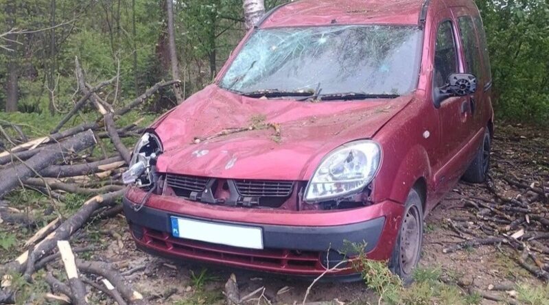 Powalone drzewo w Haczowie. Zerwane linie i uszkodzony samochód